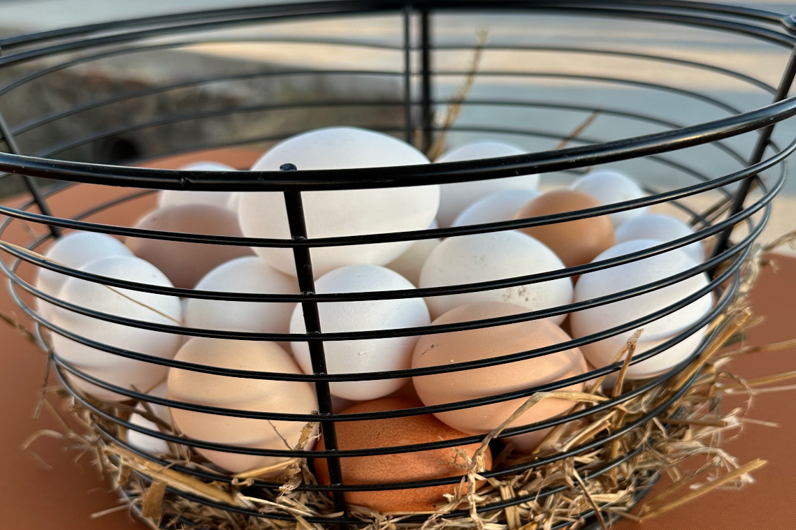 Eggs - 1 dozen